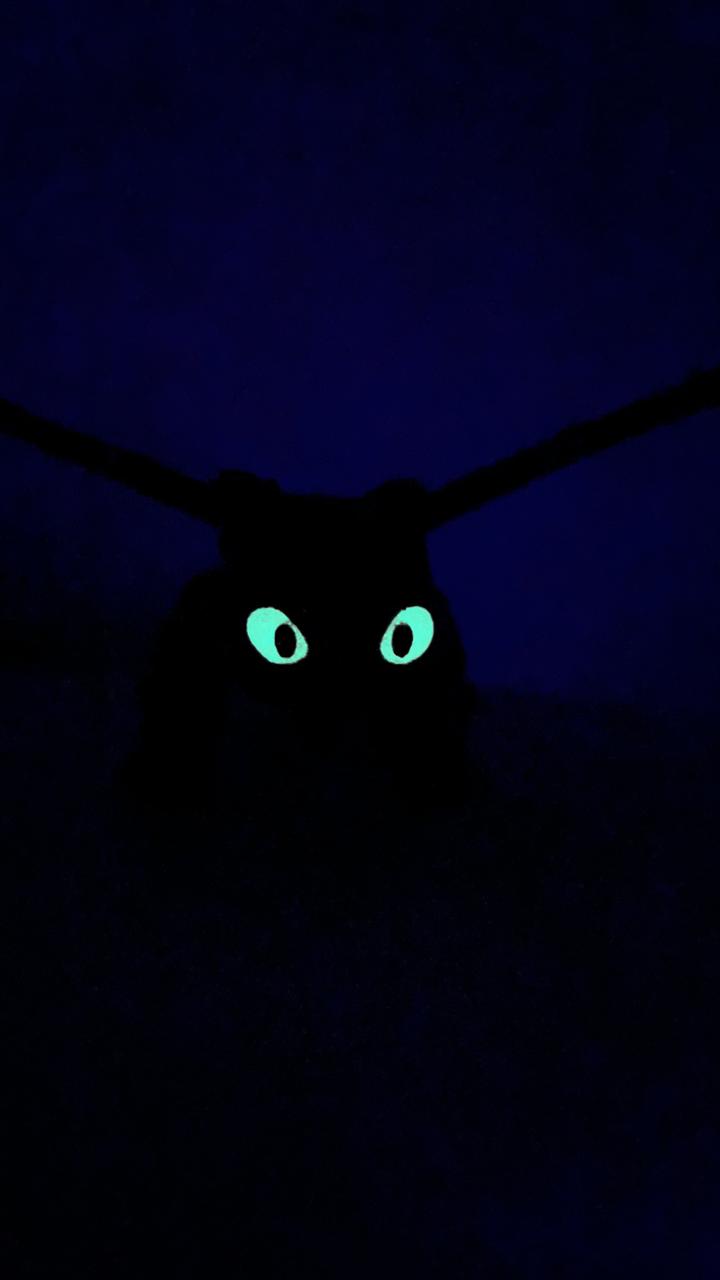 Furia Nocturna | Chimuelo 🌙