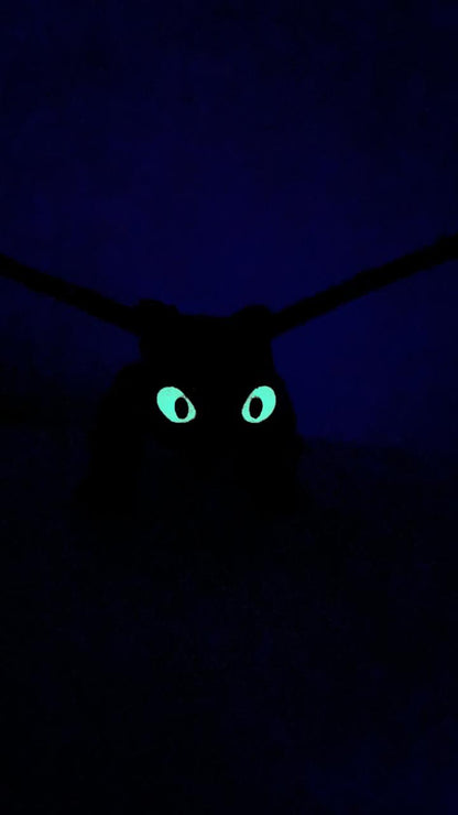 Furia Nocturna | Chimuelo 🌙